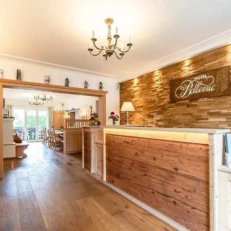 Отель Bellevue 3*