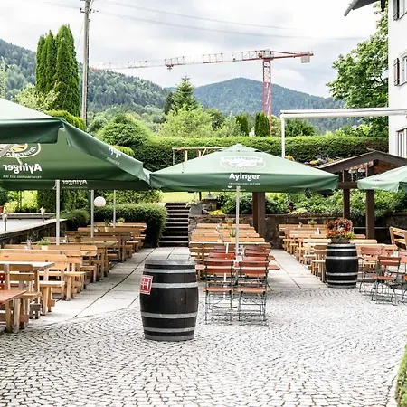 Отель Bellevue 3*