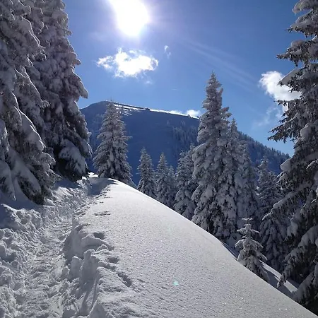 Bellevue