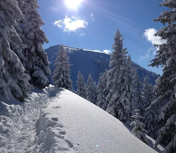 Bellevue